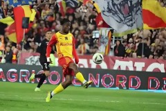 西班牙里奥哈葡萄园丰收节：葡萄盛宴共庆夏日别离